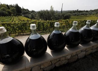 Берба грожђа 2022.