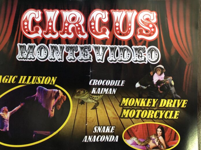 viber_slika_2026-02-26_08-09-17-510